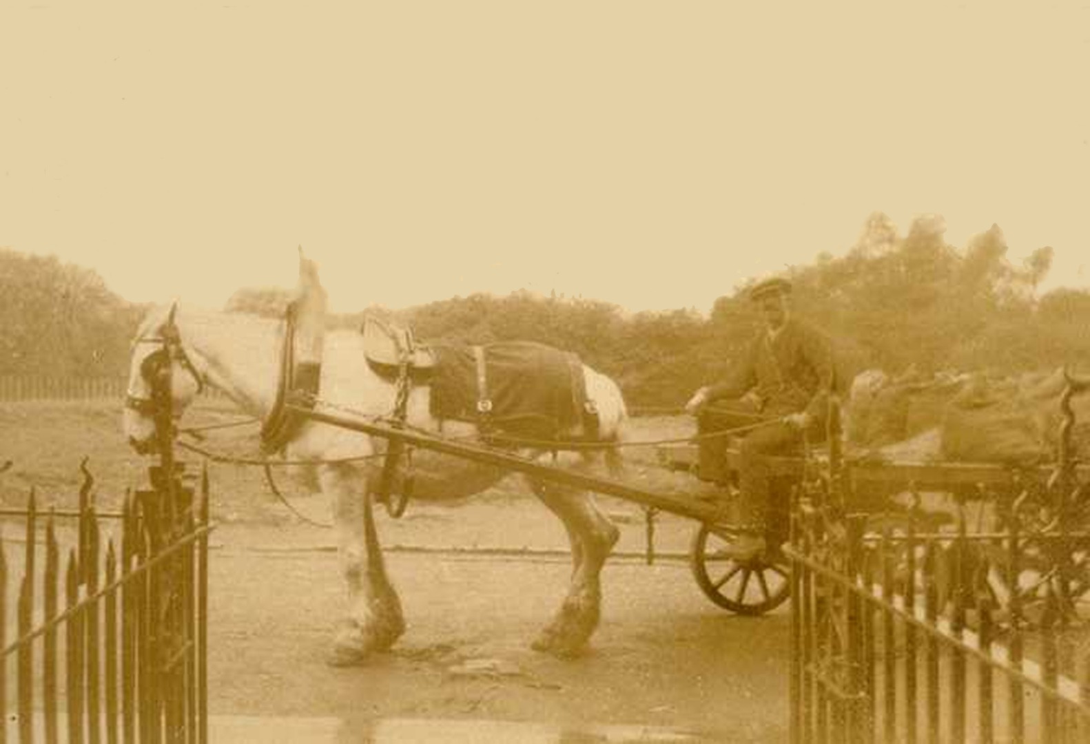 The Horse and Cart.jpg