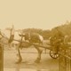 The Horse and Cart