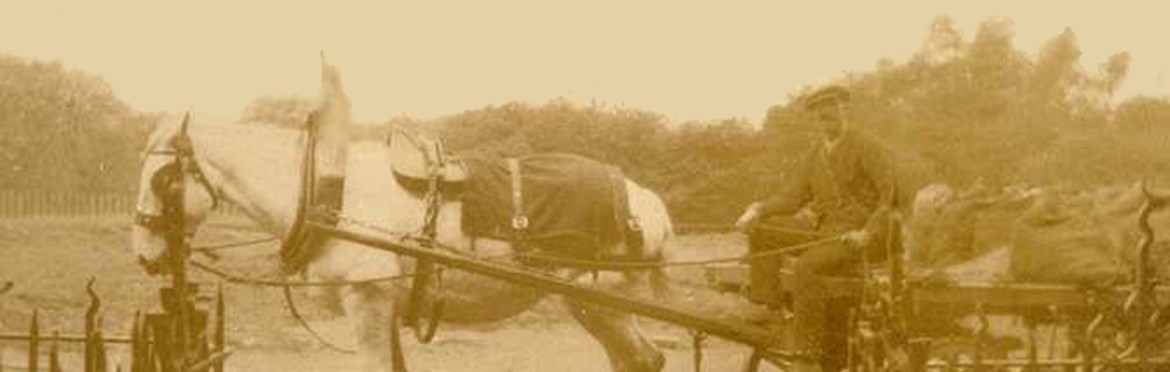 The Horse and Cart.jpg